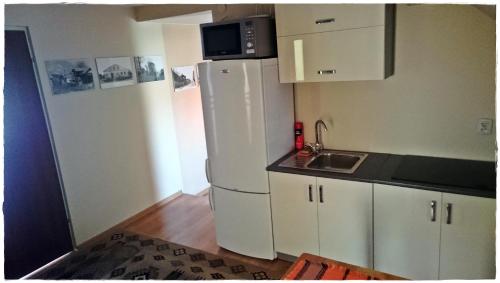 a kitchen with a white refrigerator and a sink at Nasz Dom w Daliowej - Beskid Niski in Jaśliska