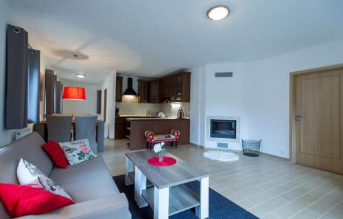 Kuchyň nebo kuchyňský kout v ubytování Apartmány Nová Pec