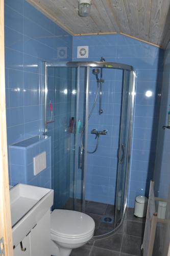 HavelteにあるMooi nieuw houten huisjeの青いバスルーム(シャワー、トイレ付)