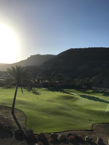 a palm tree on a golf course with a green at Suecia Villa Opal Anfi Tauro in Mogán