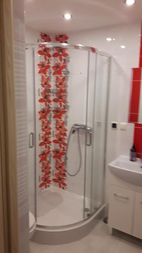 a bathroom with a shower with red hearts on the wall at Star Galaxy in Szklarska Poręba