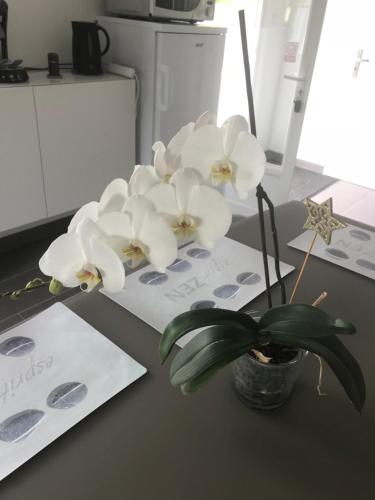 eine Vase mit weißen Blumen auf dem Tisch in der Unterkunft Petite maison indépendante in Bulgnéville