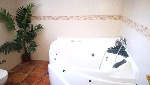 a bathroom with a sink and a toilet at Casa La Vega in El Bosque