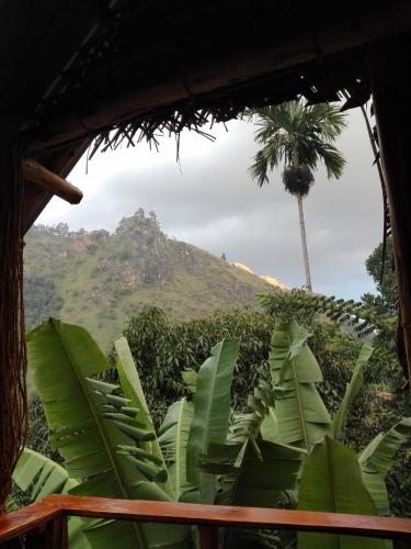 a view of a palm tree and a mountain at Mount Wood Star in Ella
