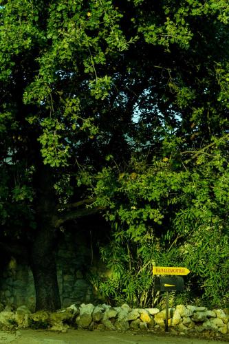 a yellow sign sitting in front of a tree at Le Cascatelle in Cerveteri