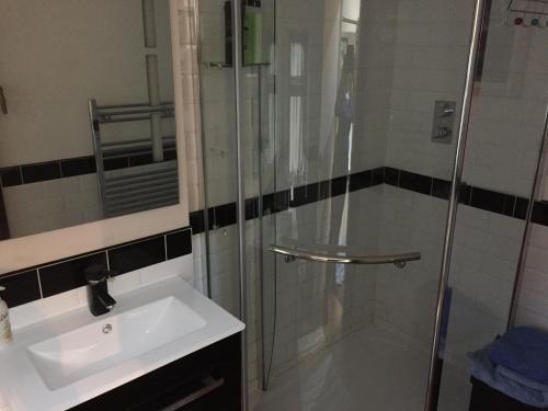 a bathroom with a sink and a glass shower at Winwood Apartment in Holmfirth