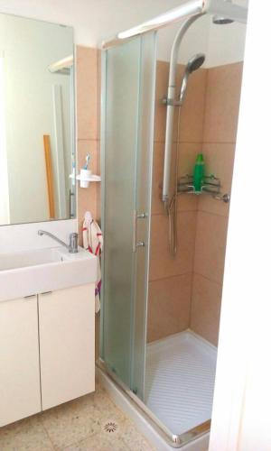 a shower with a glass door in a bathroom at Jordan Valley one room apartment in Menaẖemya