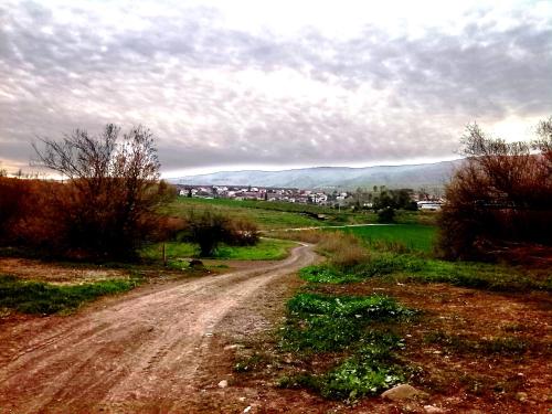 a dirt road in the middle of a field at Jordan Valley one room apartment in Menaẖemya