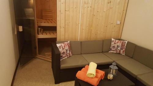 a living room with a couch and a sauna at Willa Pod Brzozami in Korbielów