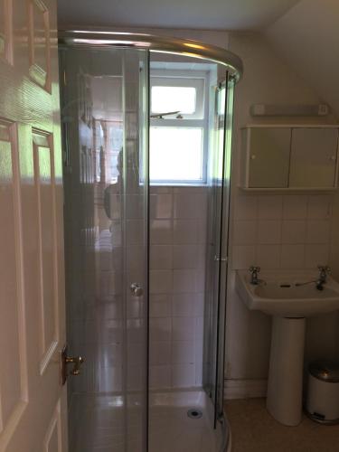 a bathroom with a shower and a sink at Fern Cottage in Dorchester
