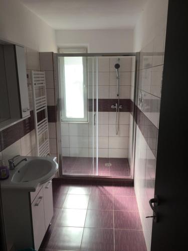 een badkamer met een douche en een wastafel bij Jane House 2 in Boekarest