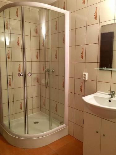 a shower with a glass door next to a sink at Penzion SATY in Liptovské Sliače