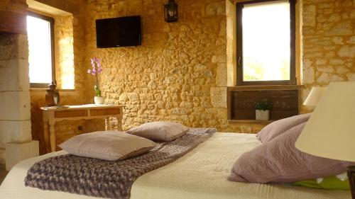 una camera da letto con un letto con due cuscini e una TV di Aux fontaines d'Eyvigues a Eyvignes-et-Eybènes