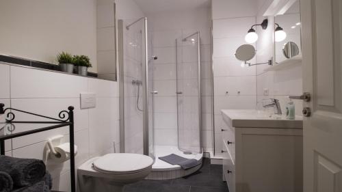 a bathroom with a shower and a toilet and a sink at Ferienwohnungen EULE in Lutherstadt Wittenberg