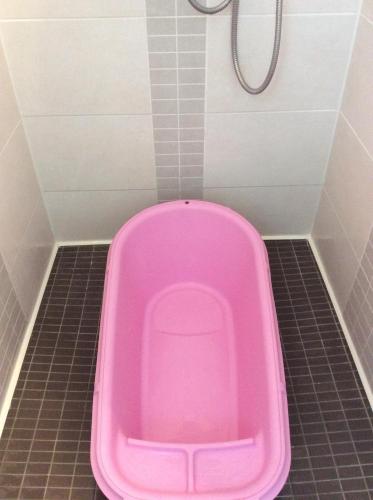 a pink toilet in a bathroom with a shower at Gite Botiga in Saint-Jean-le-Vieux