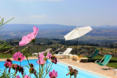 a view of a swimming pool with flowers next to it at San Giovanni al Monte in Collazzone