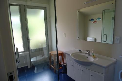 y baño con lavabo, espejo y aseo. en Korohi Vineyard BnB en Blenheim