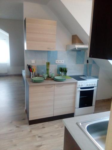 a kitchen with a sink and a stove top oven at Hostinské pokoje U Kulináře in Domažlice