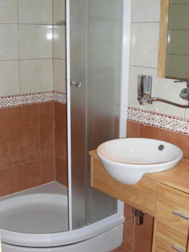 a bathroom with a shower and a sink and a toilet at Villa Ujoli in Splitska