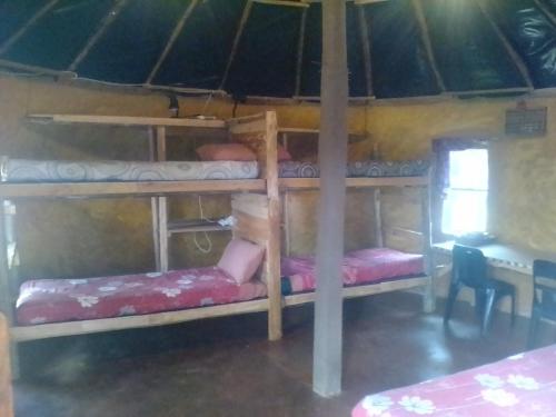 Bunk bed o mga bunk bed sa kuwarto sa Joy River Backpackers