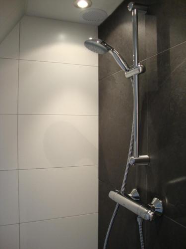 y baño con ducha con cabezal de ducha. en B&B Hanenberg, en Ooien