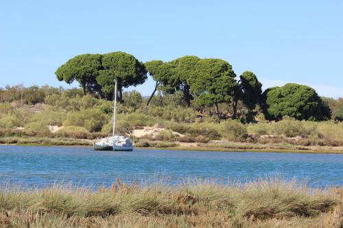 Φυσικό τοπίο κοντά σε αυτό το διαμέρισμα