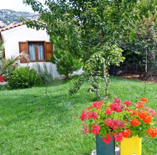 Κήπος έξω από το Maison Kronio Lassithi Plateau