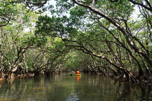 a boat in the water in a river with trees at Holly Camp Airstream Villa Amami in Amami