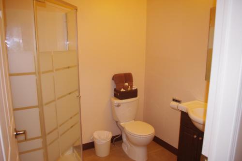 La salle de bains est pourvue de toilettes et d'un lavabo. dans l'établissement Auberge La Tanière, à Tadoussac