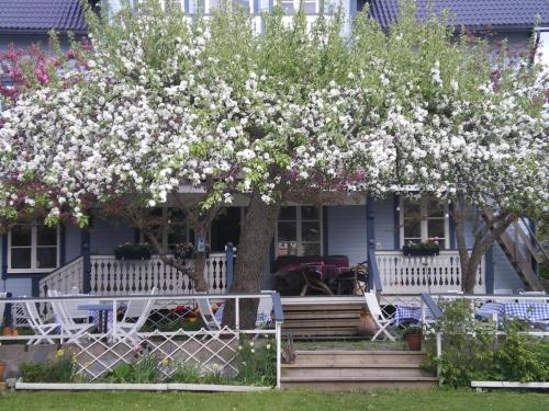 Κήπος έξω από το Hotel Pensionat Granparken
