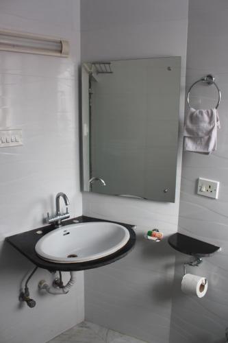 a bathroom with a sink and a mirror at Service Apartments, Park Street, Calcutta in Kolkata