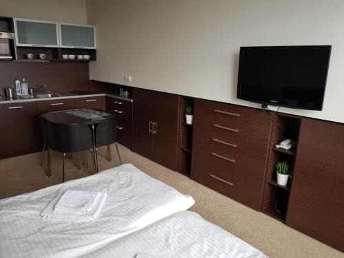 TV a/nebo společenská místnost v ubytování Apartmán Panorama 308