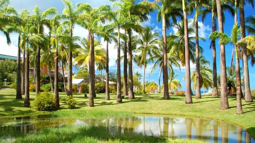 un parque con palmeras y un estanque en Hotel Bakoua Martinique, en Les Trois-Îlets