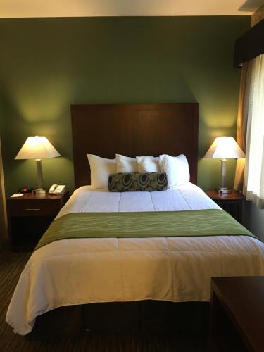 a bedroom with a large bed with green walls and two lamps at Hawthorn Suites by Wyndham Rancho Cordova/Folsom in Rancho Cordova