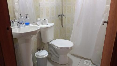 a bathroom with a toilet and a sink and a shower at Cabañas Tornagaleones Villarrica in Villarrica