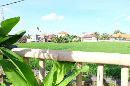 Gallery image of Bagong Guest House in Canggu
