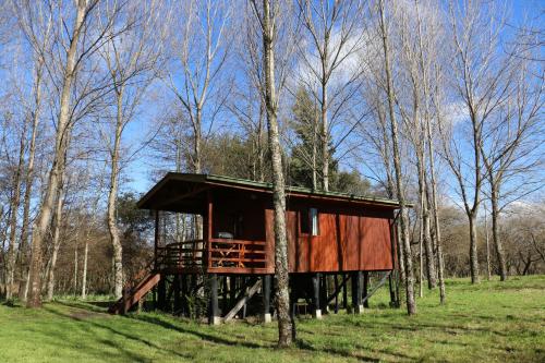 Gallery image of Cabañas Islote Haverbeck in Valdivia