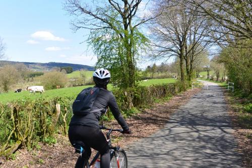 una persona montando una bicicleta por un camino de tierra en Au Beau Rivage, en Trois-Ponts