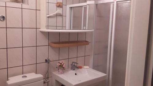 ザラツァニにあるRoza Apartmanのバスルーム(洗面台、トイレ、鏡付)