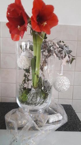a vase with red flowers in it on a table at Ferienhaus Planetz in Kaindorf