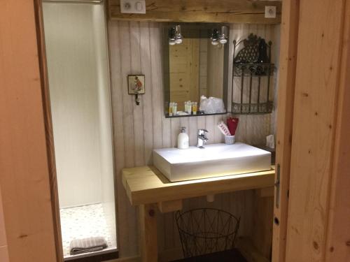 een badkamer met een wastafel en een spiegel bij La Ferme de Là-haut B&B in Le Haut-du-Them