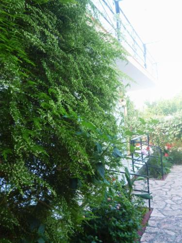 a stairway in a garden with green plants at Kostas Apartments & studios in Agios Georgios Pagon