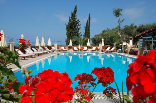 a swimming pool with chairs and red flowers at Agios Gordios Stevens on the hill in Agios Gordios