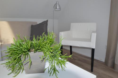 a living room with a white chair and a table with a plant at Appartement Sendenhorst in Sendenhorst