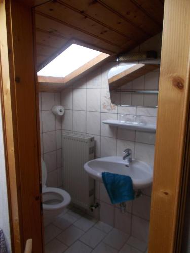 ドルフガシュタインにあるSteinerbauerのバスルーム(トイレ、洗面台付)
