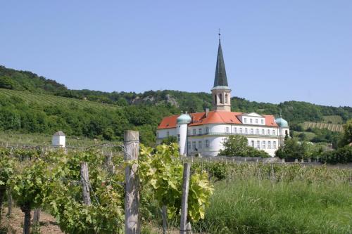 a building with a tower on top of a hill at Schloss Gumpoldskirchen in Gumpoldskirchen