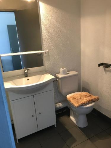 Balaena hébergement