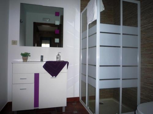 a bathroom with a shower and a sink at Albergue-Hostel Casa da Gandara in Boimorto