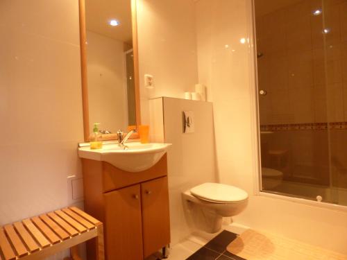 a bathroom with a sink and a toilet and a shower at Chata Albrechta in Albrechtice v Jizerských horách