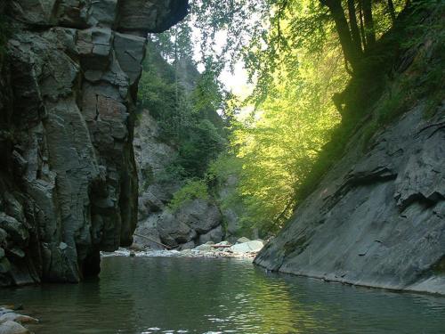 a river in a rocky canyon with trees and water at Chalet Murmeli in Eigenthal